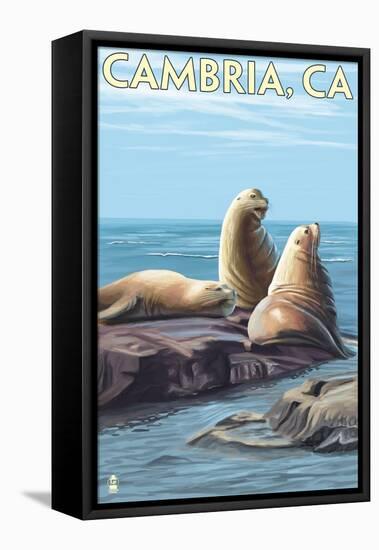 Cambria, California - Sea Lions, c.2009-Lantern Press-Framed Stretched Canvas