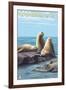 Cambria, California - Sea Lions, c.2009-Lantern Press-Framed Art Print