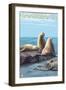 Cambria, California - Sea Lions, c.2009-Lantern Press-Framed Art Print