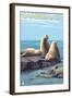 Cambria, California - Sea Lions, c.2009-Lantern Press-Framed Art Print