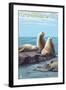 Cambria, California - Sea Lions, c.2009-Lantern Press-Framed Art Print