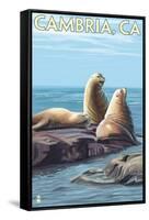 Cambria, California - Sea Lions, c.2009-Lantern Press-Framed Stretched Canvas