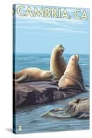 Cambria, California - Sea Lions, c.2009-Lantern Press-Stretched Canvas