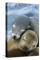 Cambria, California - Sea Lions Cuddle-Lantern Press-Stretched Canvas