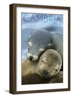 Cambria, California - Sea Lions Cuddle-Lantern Press-Framed Art Print