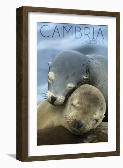 Cambria, California - Sea Lions Cuddle-Lantern Press-Framed Art Print