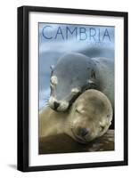 Cambria, California - Sea Lions Cuddle-Lantern Press-Framed Art Print