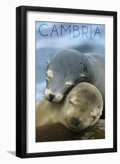 Cambria, California - Sea Lions Cuddle-Lantern Press-Framed Art Print