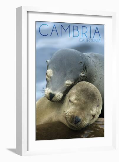 Cambria, California - Sea Lions Cuddle-Lantern Press-Framed Art Print