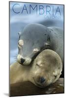 Cambria, California - Sea Lions Cuddle-Lantern Press-Mounted Art Print