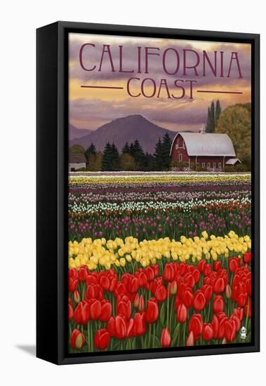 Cambria, California - Tulip Farm-Lantern Press-Framed Stretched Canvas