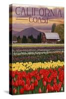 Cambria, California - Tulip Farm-Lantern Press-Stretched Canvas