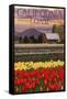 Cambria, California - Tulip Farm-Lantern Press-Framed Stretched Canvas