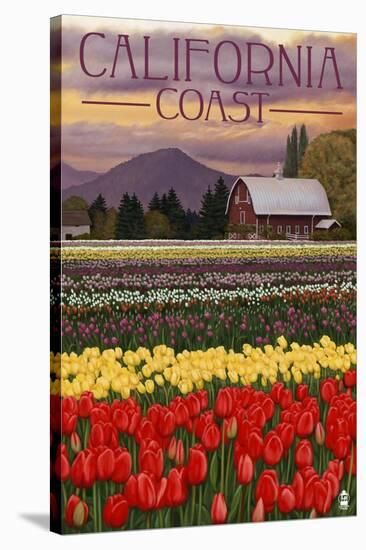 Cambria, California - Tulip Farm-Lantern Press-Stretched Canvas