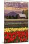 Cambria, California - Tulip Farm-Lantern Press-Mounted Art Print