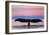 Cambria, California - Whale Fluke and Sunset-Lantern Press-Framed Art Print