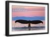 Cambria, California - Whale Fluke and Sunset-Lantern Press-Framed Art Print