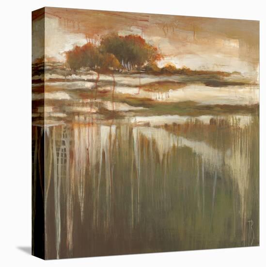 Cambria Fields I-Terri Burris-Stretched Canvas