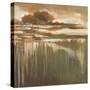 Cambria Fields I-Terri Burris-Stretched Canvas