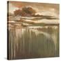 Cambria Fields I-Terri Burris-Stretched Canvas