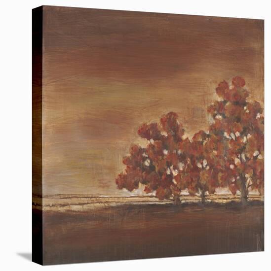 Cambria-Terri Burris-Stretched Canvas