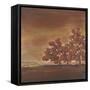 Cambria-Terri Burris-Framed Stretched Canvas