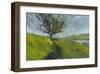 Cambrian Hawthorne-Paul Bailey-Framed Art Print