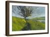 Cambrian Hawthorne-Paul Bailey-Framed Art Print