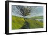 Cambrian Hawthorne-Paul Bailey-Framed Art Print