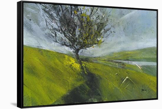 Cambrian Hawthorne-Paul Bailey-Framed Stretched Canvas