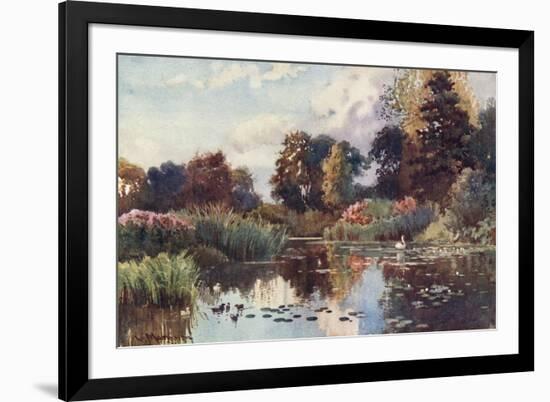 Cambridge, Botanic Gdns-William Matthison-Framed Art Print