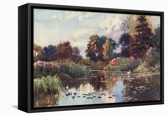 Cambridge, Botanic Gdns-William Matthison-Framed Stretched Canvas