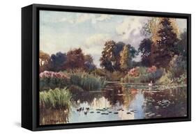 Cambridge, Botanic Gdns-William Matthison-Framed Stretched Canvas