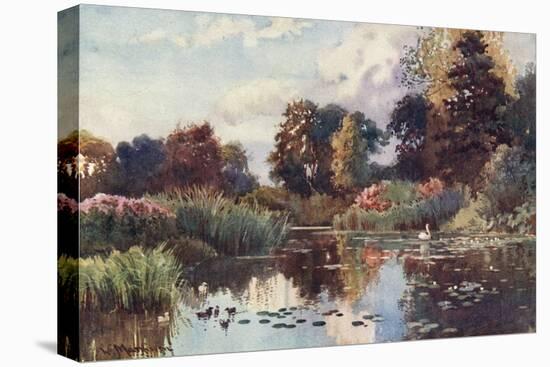 Cambridge, Botanic Gdns-William Matthison-Stretched Canvas