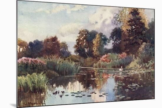 Cambridge, Botanic Gdns-William Matthison-Mounted Premium Giclee Print