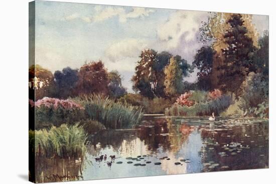 Cambridge, Botanic Gdns-William Matthison-Stretched Canvas