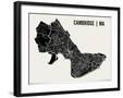 Cambridge Map Art Print-null-Framed Art Print