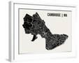 Cambridge Map Art Print-null-Framed Art Print