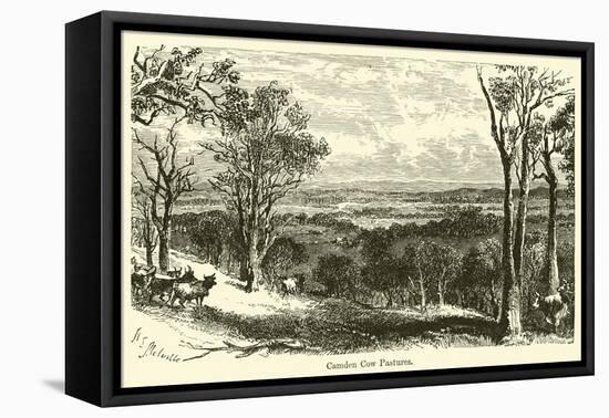 Camden Cow Pastures-Harden Sidney Melville-Framed Stretched Canvas