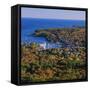 Camden Harbour, Camden Hills State Park, Maine, New England, USA-Roy Rainford-Framed Stretched Canvas