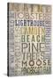 Camden, Maine - Barnwood Typography-Lantern Press-Stretched Canvas