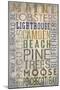 Camden, Maine - Barnwood Typography-Lantern Press-Mounted Art Print