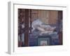 Camden Town Nude-Spencer Frederick Gore-Framed Giclee Print