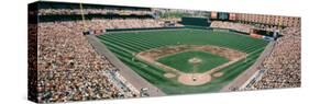 Camden Yards Baseball Field Baltimore, MD-null-Stretched Canvas