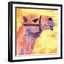 Camel, 1994,-Jane Tattersfield-Framed Giclee Print