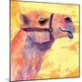 Camel, 1994,-Jane Tattersfield-Mounted Giclee Print