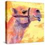 Camel, 1994,-Jane Tattersfield-Stretched Canvas