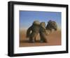 Camel, 2017,-Peter Jones-Framed Giclee Print