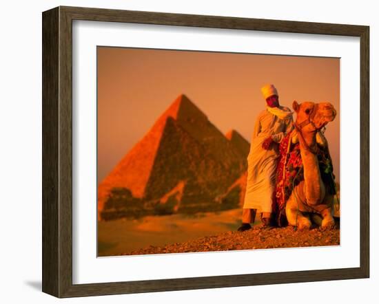 Camel and Driver Resting near the Great Pyramids, Egypt-Alexander Nesbitt-Framed Photographic Print