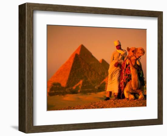 Camel and Driver Resting near the Great Pyramids, Egypt-Alexander Nesbitt-Framed Photographic Print